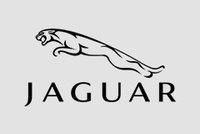 [Translate to Spanisch:] Jaguar bei Gassmann